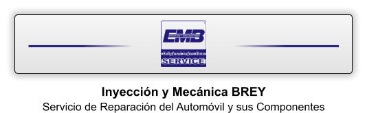 Inyeccin y Mecnica BREY Servicio de Reparacin del Automvil y sus Componentes